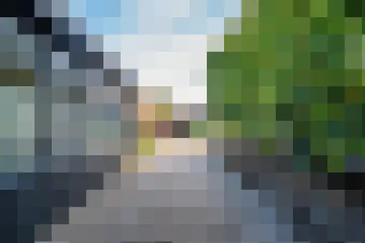 Mgr Schravenlaan 3 Lottum thumbnail 71