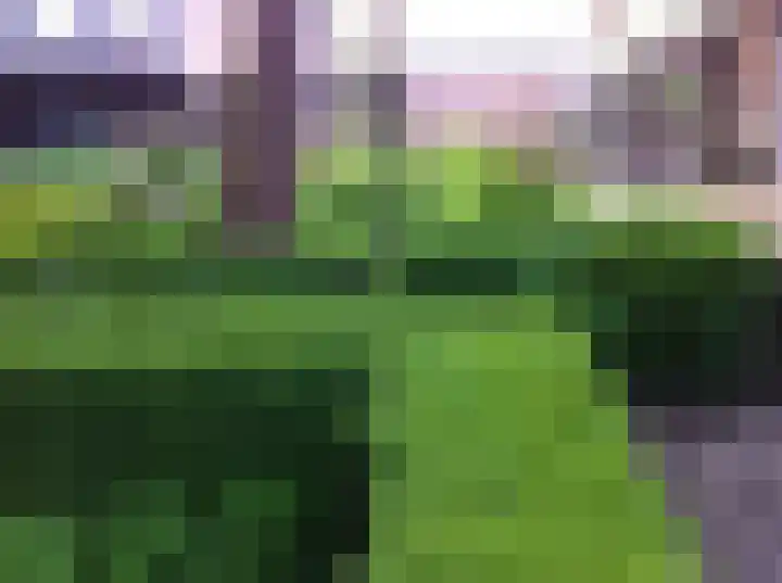 Mgr Schravenlaan 3 Lottum thumbnail 81