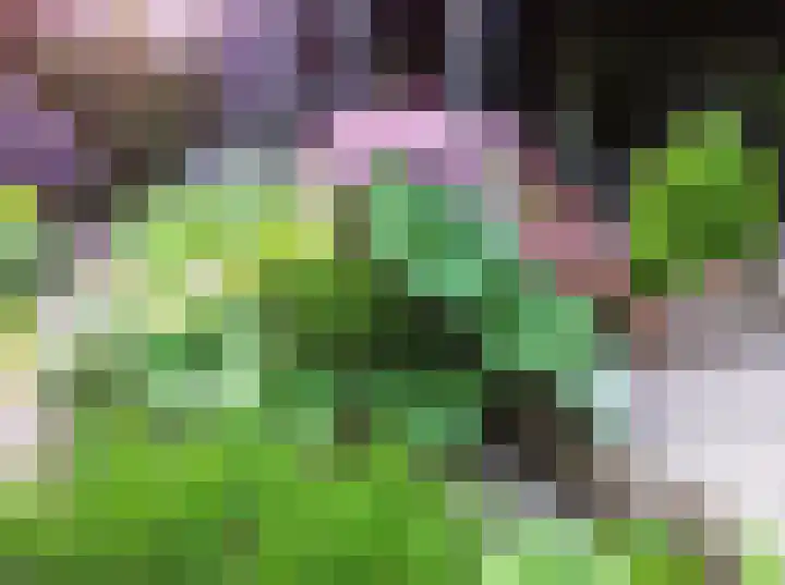 Mgr Schravenlaan 3 Lottum thumbnail 82