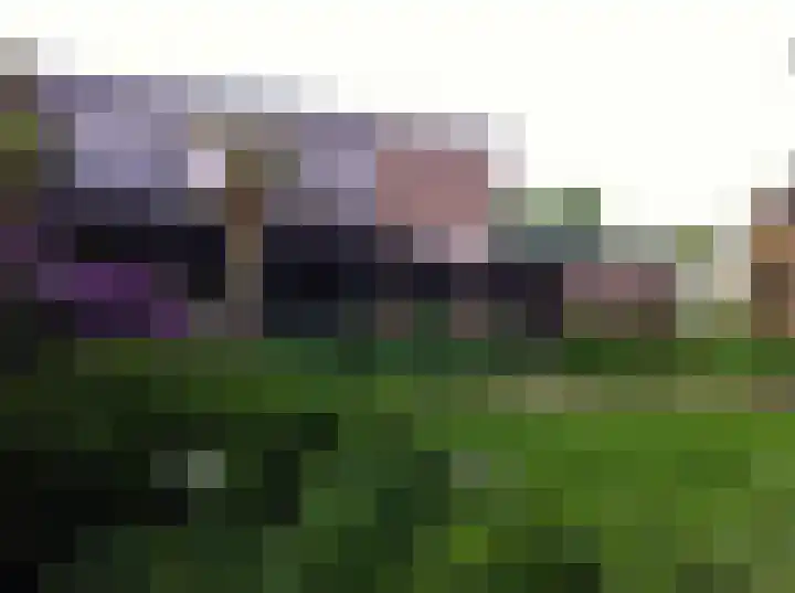 Mgr Schravenlaan 3 Lottum thumbnail 83