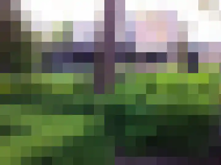 Mgr Schravenlaan 3 Lottum thumbnail 86