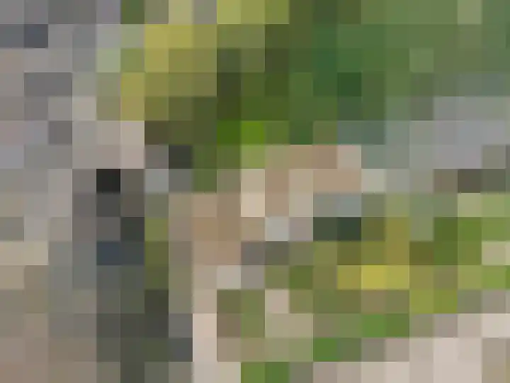 Mgr Schravenlaan 3 Lottum thumbnail 88