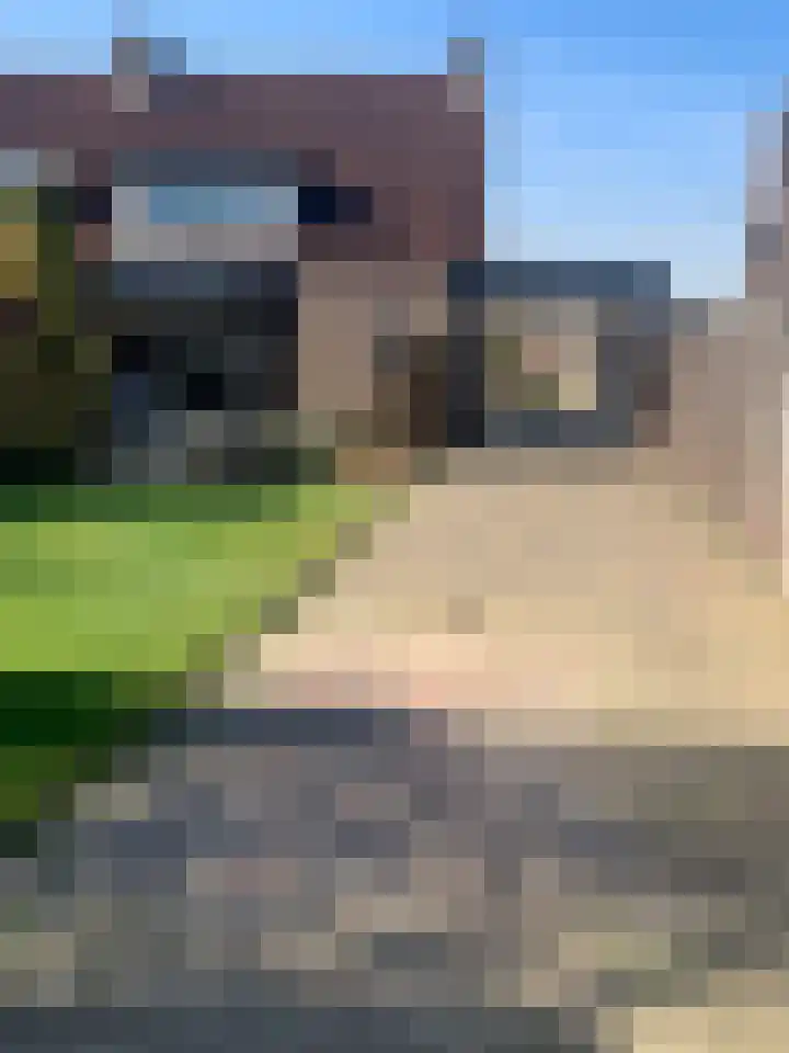 Mgr. Smetsstraat 5 Valkenswaard thumbnail 52