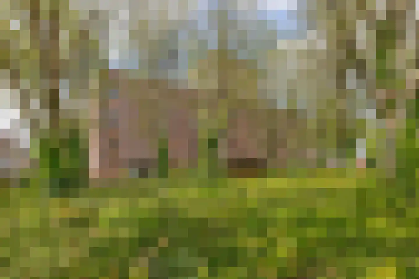 Mgr Swinkelsstraat 29 Eindhoven thumbnail 31