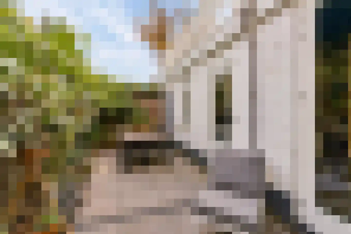 Mgr. van de Weteringstraat 19 Utrecht thumbnail 21