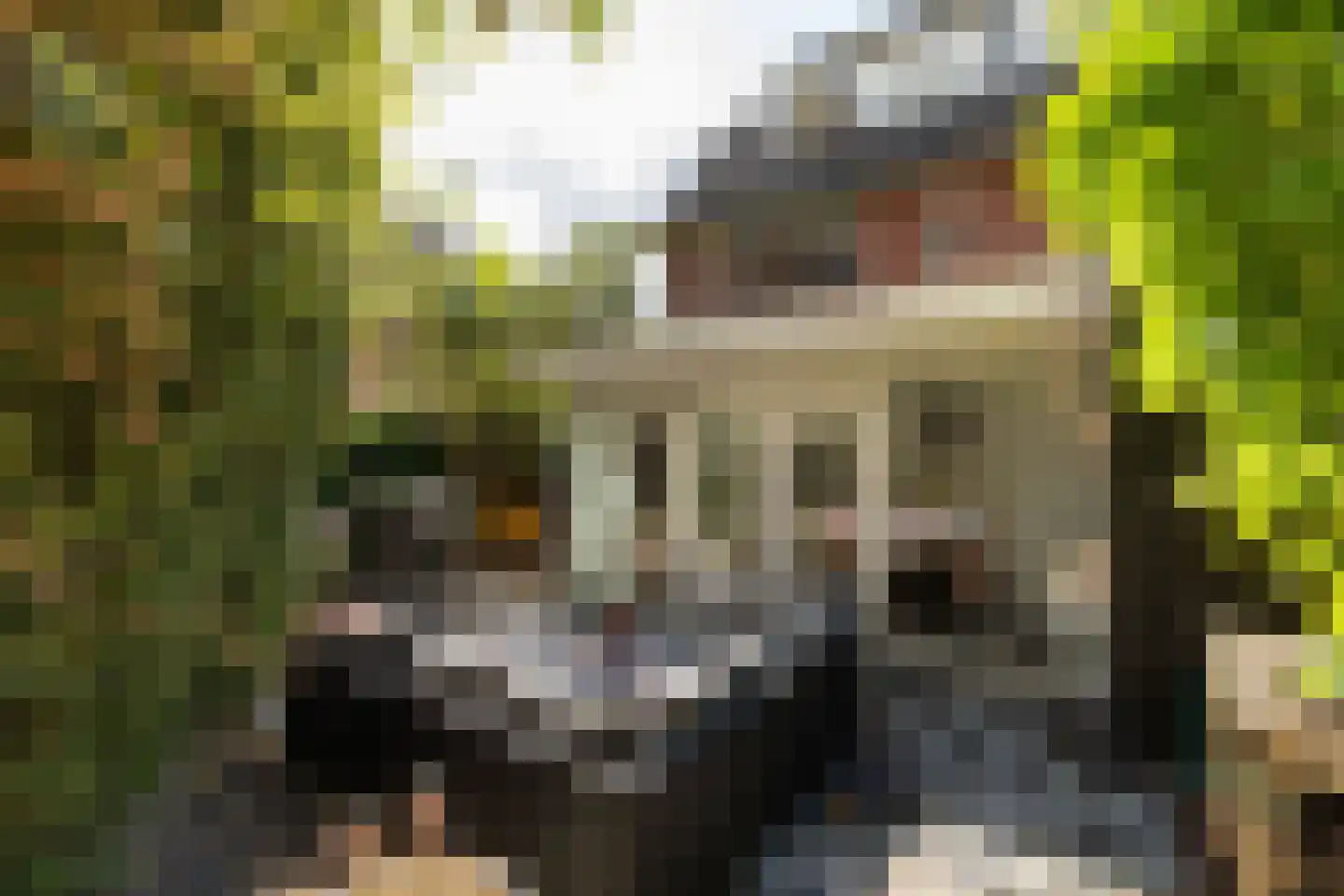Mgr. Van de Weteringstraat 27 Hilversum thumbnail 29