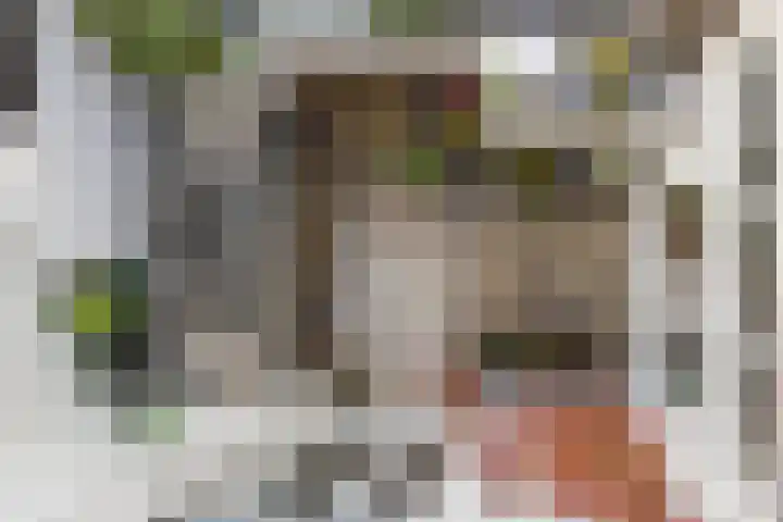 Mgr. van de Weteringstraat 4 Utrecht thumbnail 30