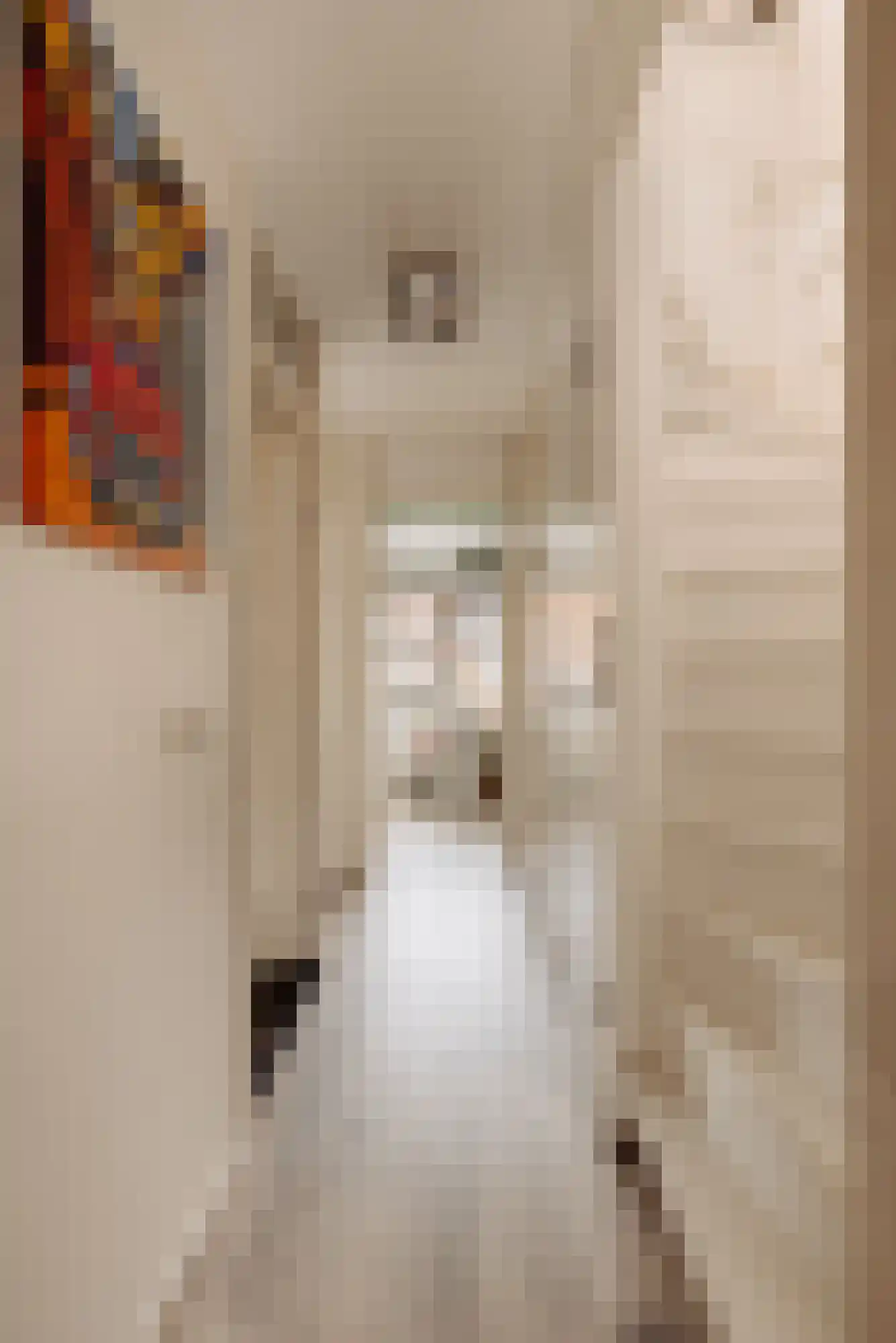 Mgr. Van de Weteringstraat 5 C Hilversum thumbnail 13