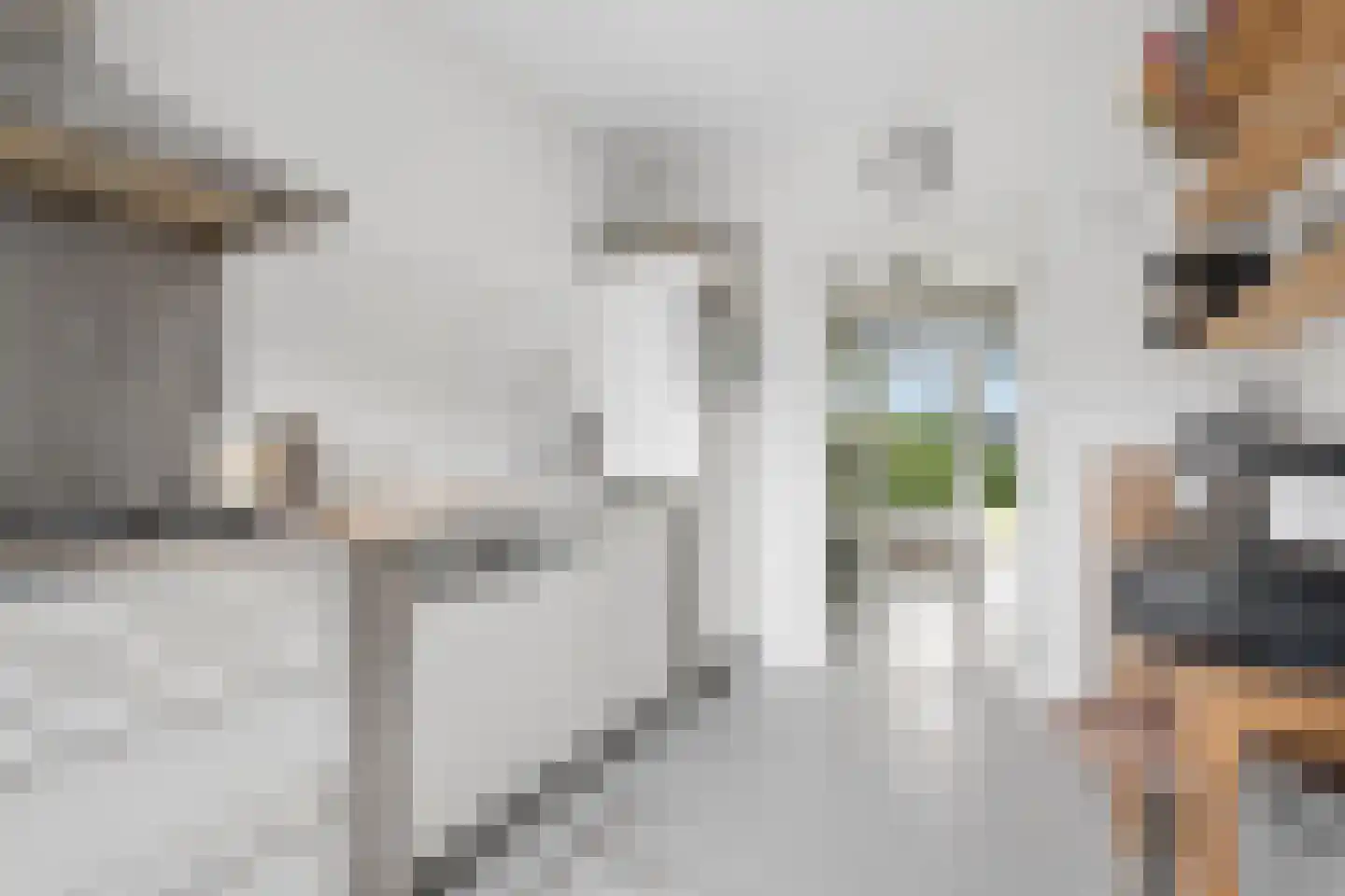 Mgr. van de Weteringstraat 59 Hoogland thumbnail 13