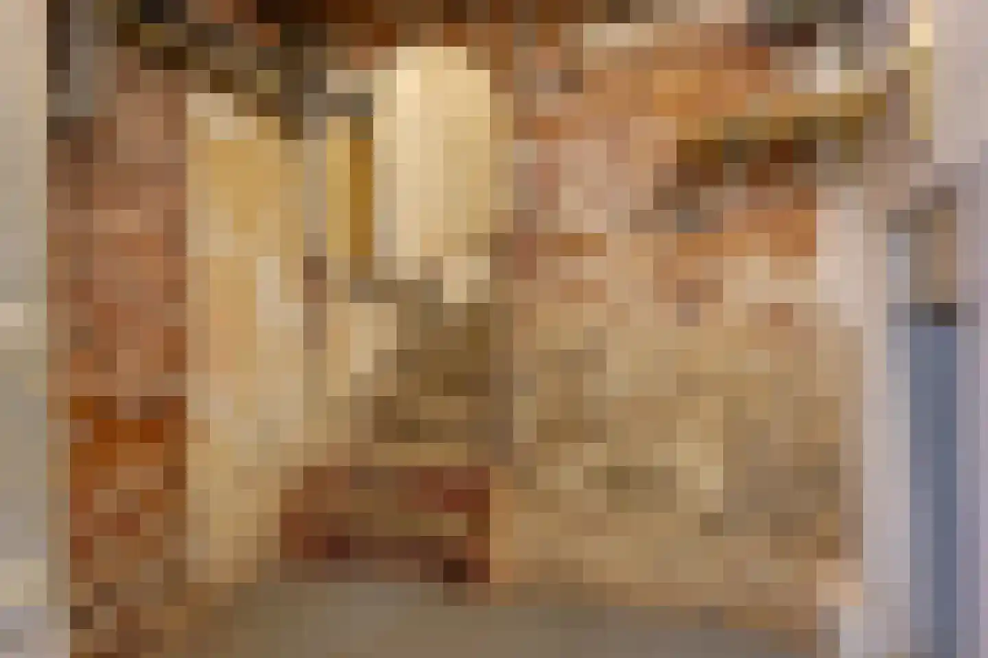 Mgr. van de Weteringstraat 60 Utrecht thumbnail 51