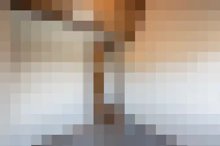 Mgr. Van Dongenlaan 20 Hoeven thumbnail 35