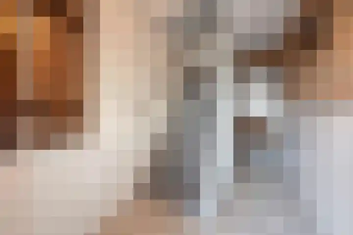 Mgr. Van Dongenlaan 20 Hoeven thumbnail 6