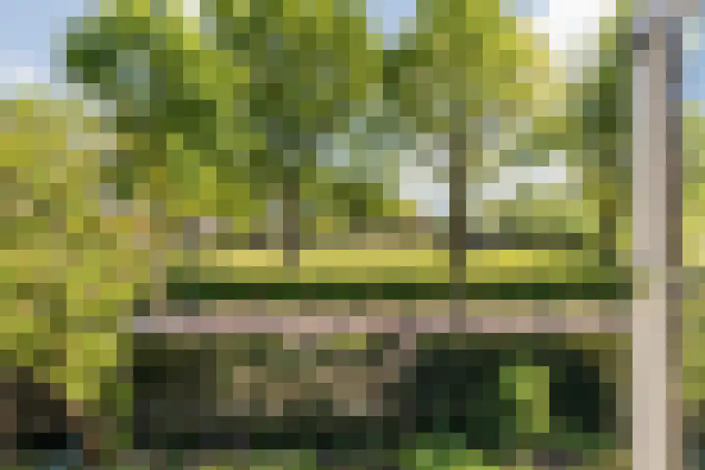 Mgr. Van Hooijdonkstraat 1 Ulvenhout thumbnail 46