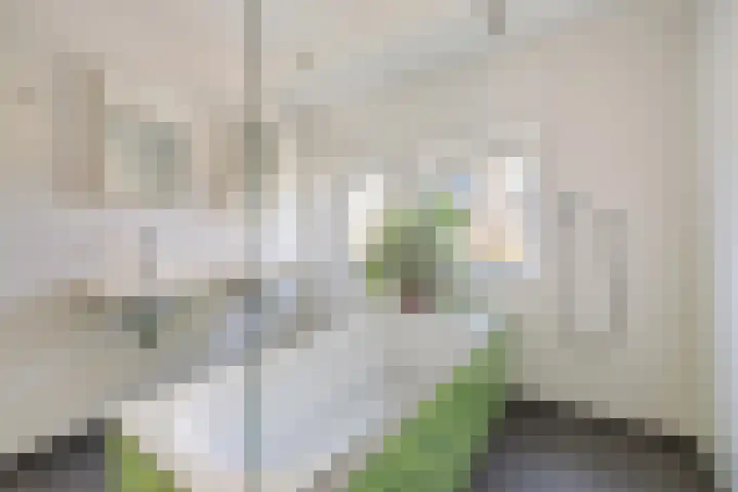 Mgr. Van Hooijdonkstraat 1 Ulvenhout thumbnail 5