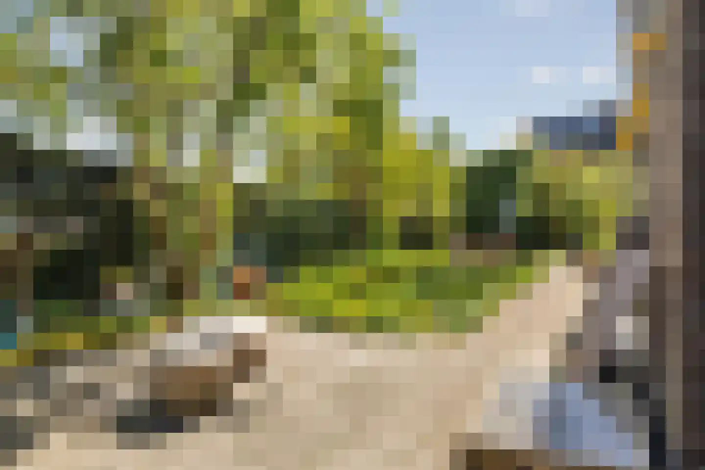 Mgr. Van Hooijdonkstraat 1 Ulvenhout thumbnail 62