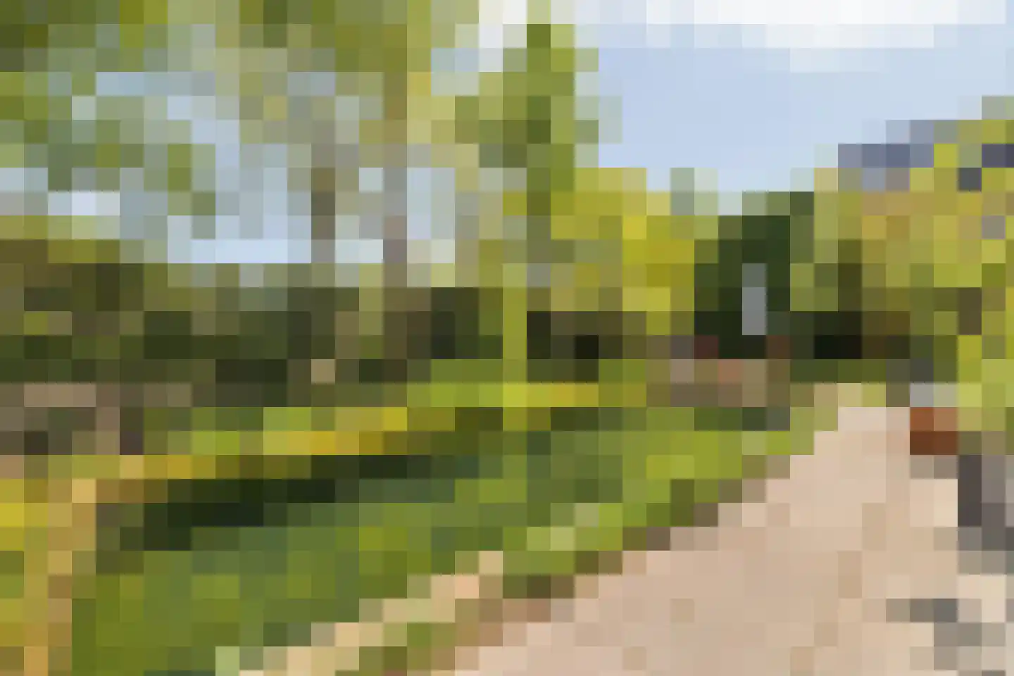 Mgr. Van Hooijdonkstraat 1 Ulvenhout thumbnail 63