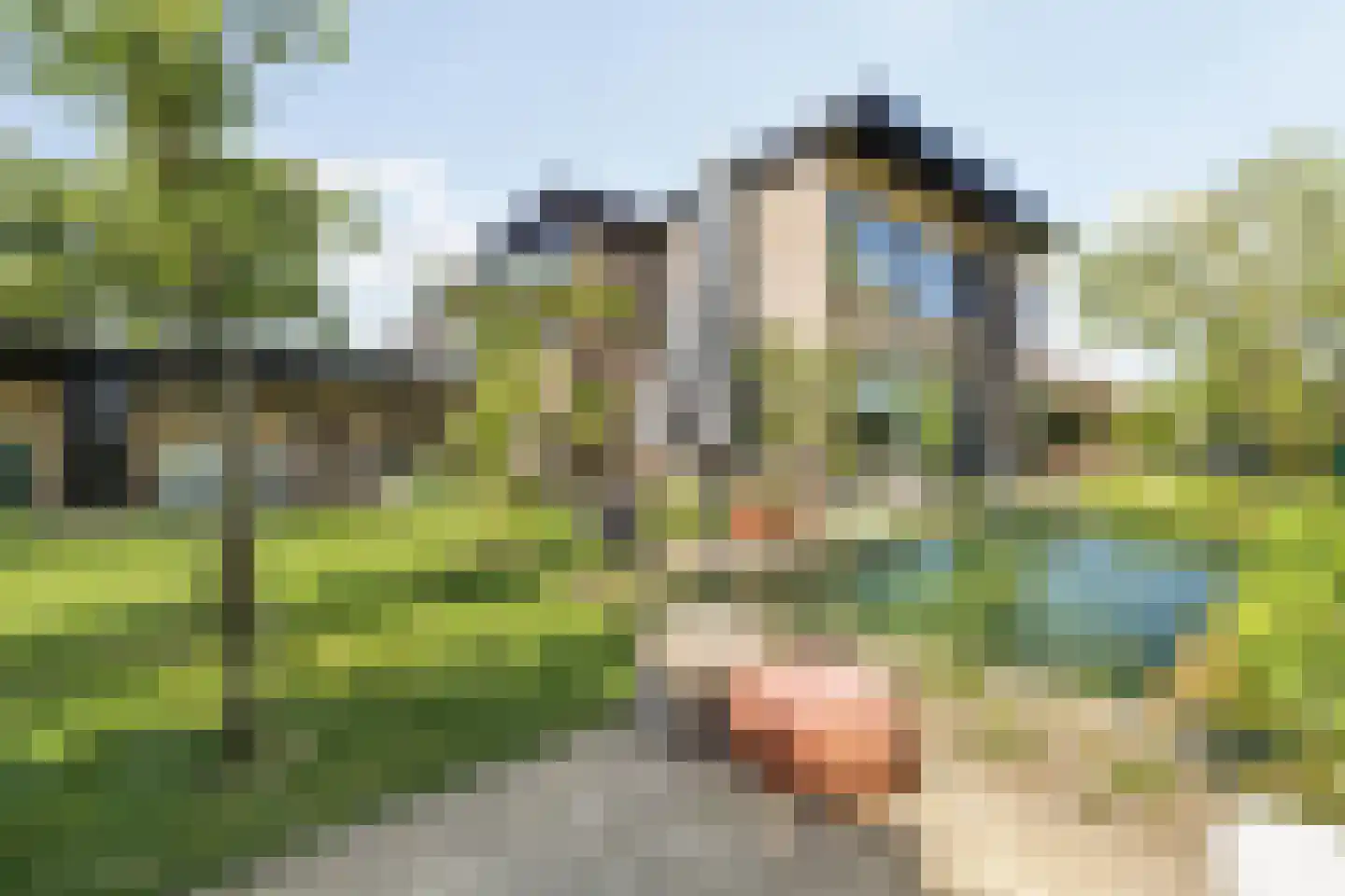 Mgr. Van Hooijdonkstraat 1 Ulvenhout thumbnail 67