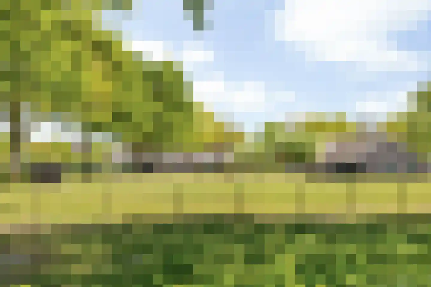 Mgr. Van Hooijdonkstraat 1 Ulvenhout thumbnail 69