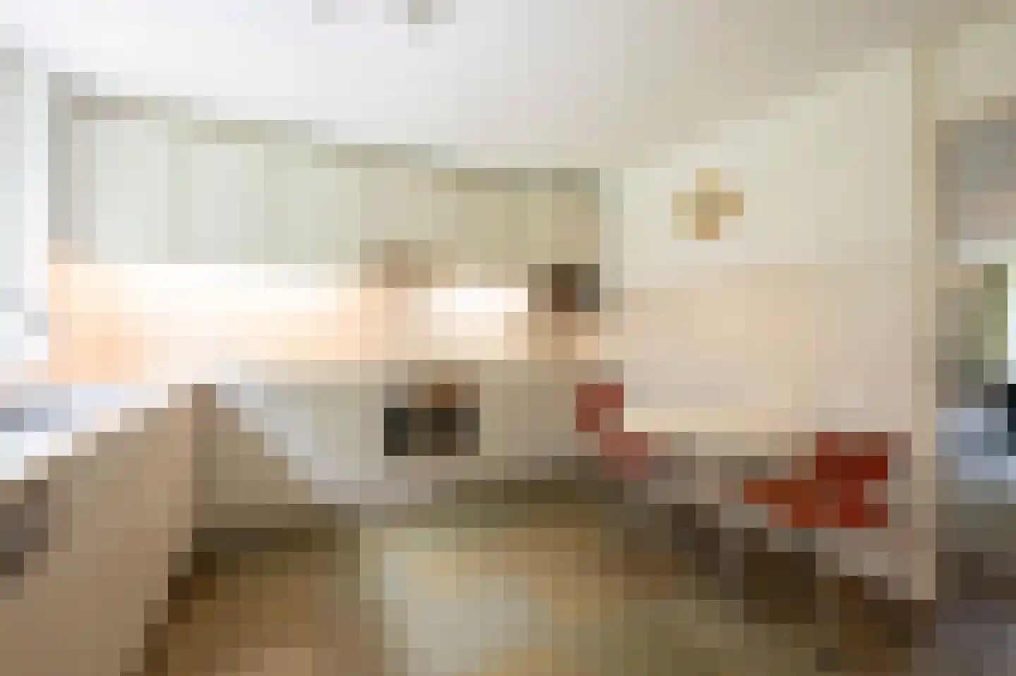 Mgr. Van Hooydonklaan 10 Hoeven thumbnail 18