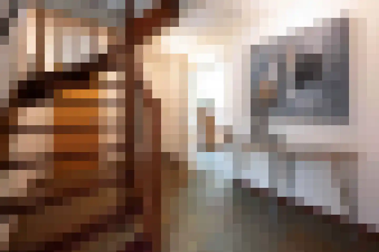 Mgr. Van Hooydonklaan 10 Hoeven thumbnail 7