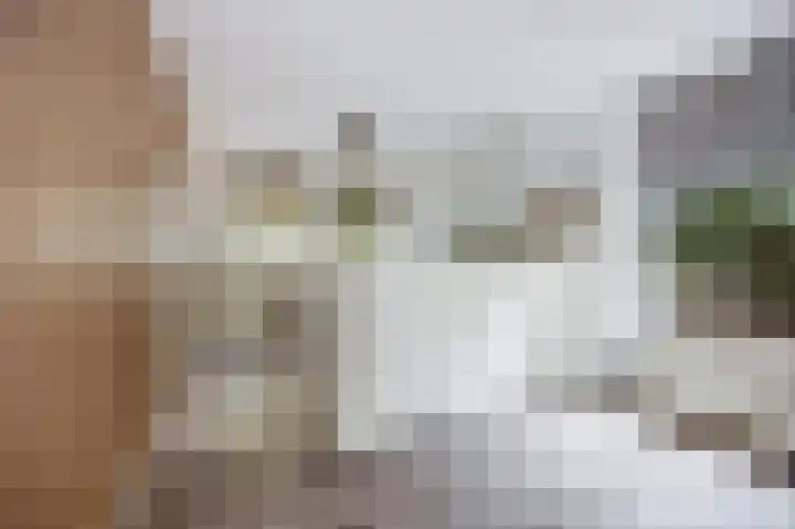 Mgr. Van Hooydonklaan 17 Hoeven thumbnail 14