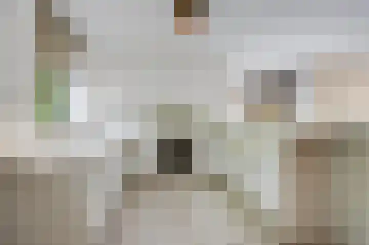 Mgr. Van Hooydonklaan 17 Hoeven thumbnail 15