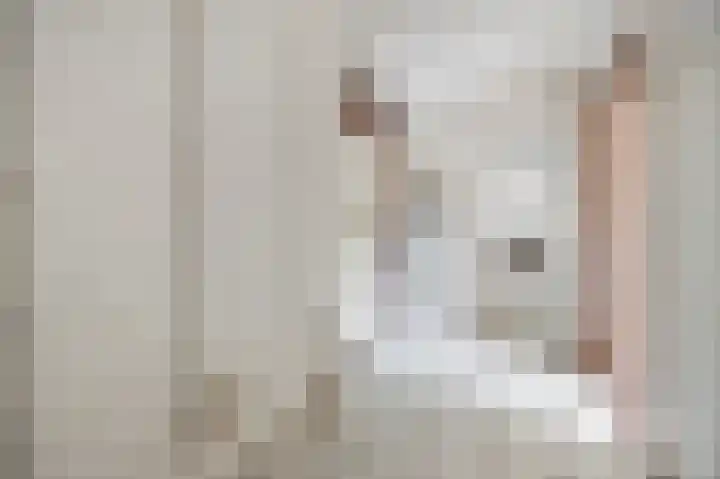 Mgr. Van Hooydonklaan 17 Hoeven thumbnail 18