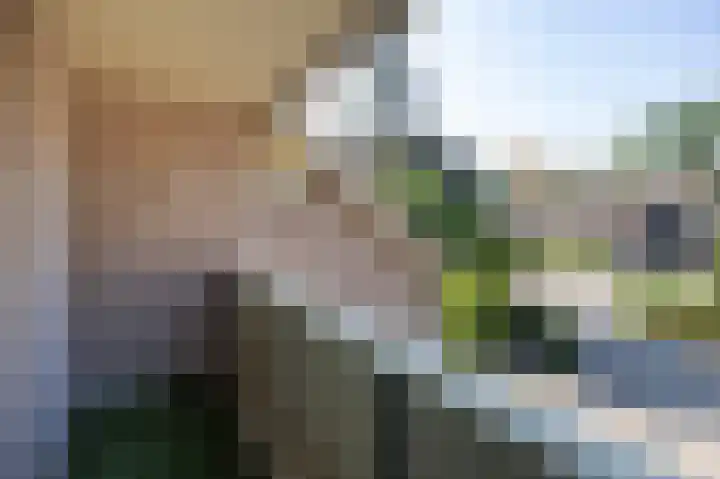 Mgr. Van Hooydonklaan 17 Hoeven thumbnail 27