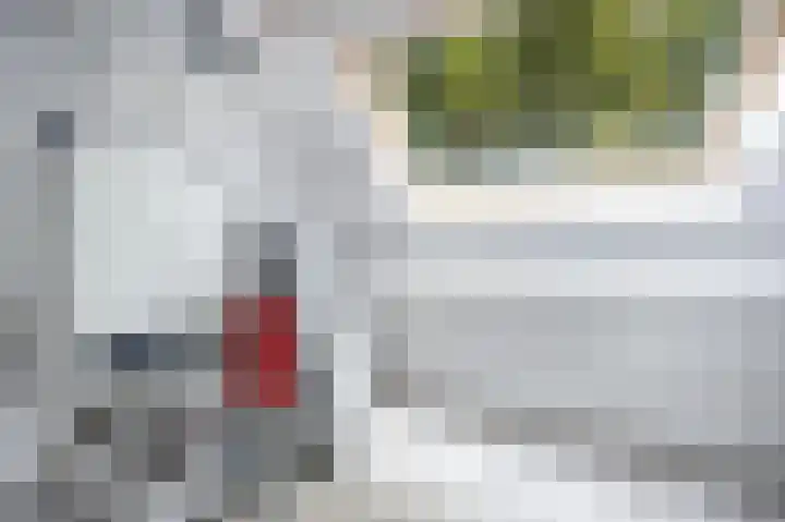 Mgr. Van Hooydonklaan 17 Hoeven thumbnail 31