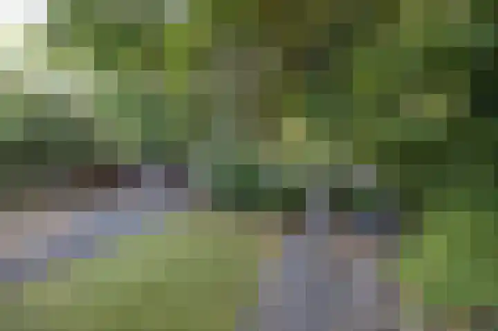 Mgr. Van Hooydonklaan 17 Hoeven thumbnail 4