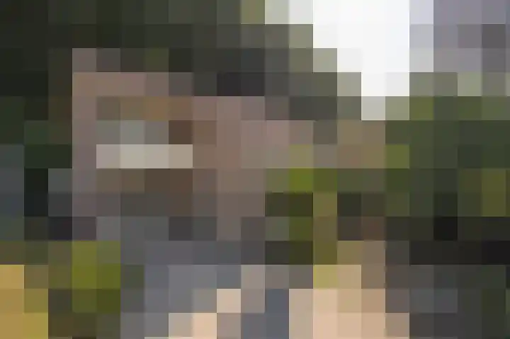 Mgr. Van Hooydonklaan 17 Hoeven thumbnail 5