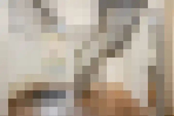 Mgr. Van Hooydonklaan 17 Hoeven thumbnail 6
