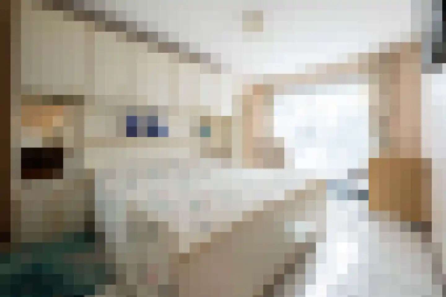 Mgr. Van Hooydonklaan 3 Hoeven thumbnail 14