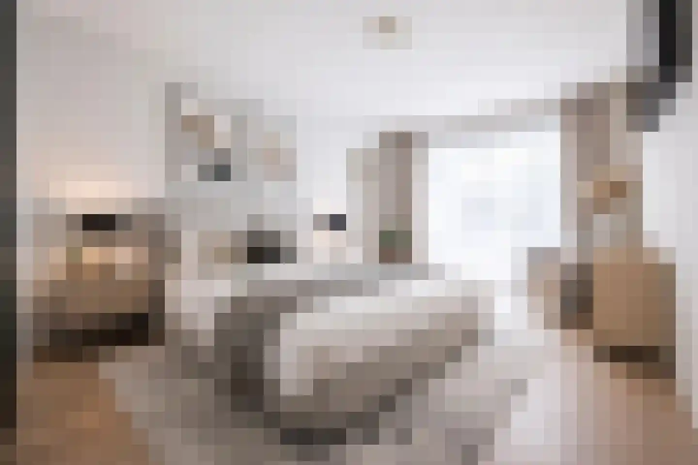 Mgr. Van Hooydonklaan 3 Hoeven thumbnail 15