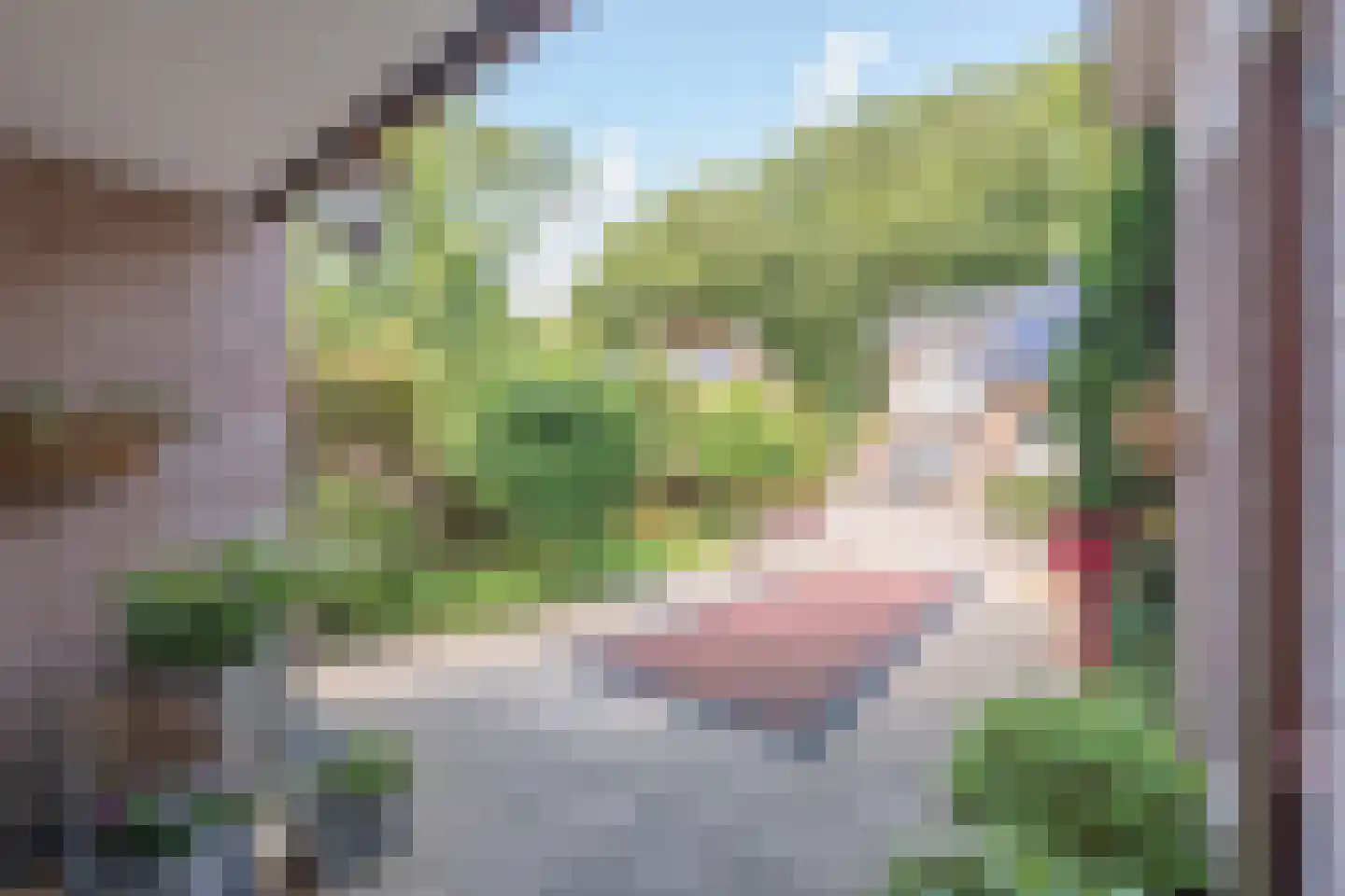 Mgr. Van Hooydonklaan 3 Hoeven thumbnail 5