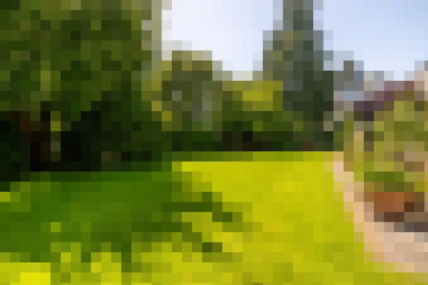 Mgr. van Hooydonkstraat 1 Breda thumbnail 32