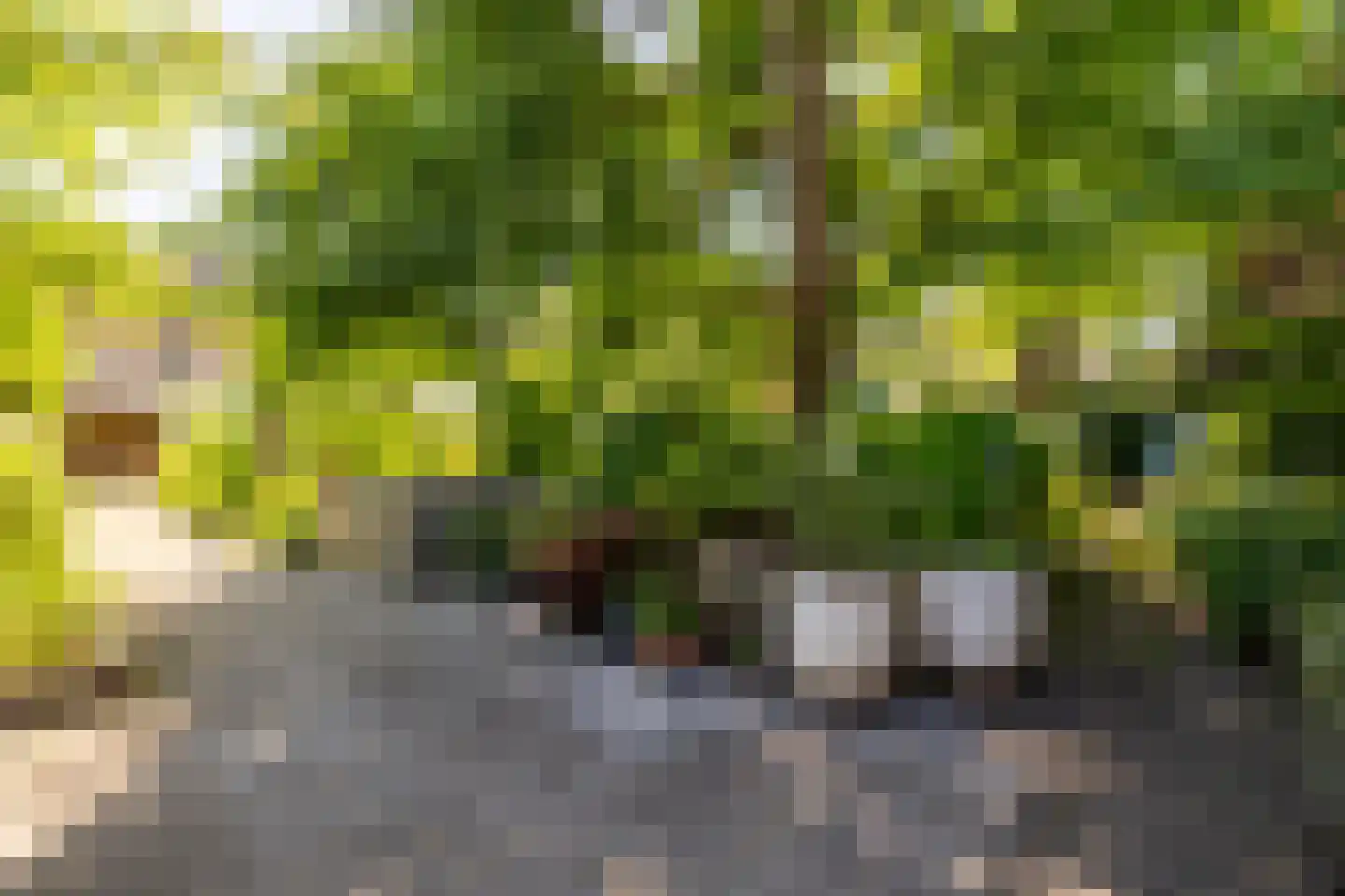 Mgr. van Hooydonkstraat 1 Breda thumbnail 39