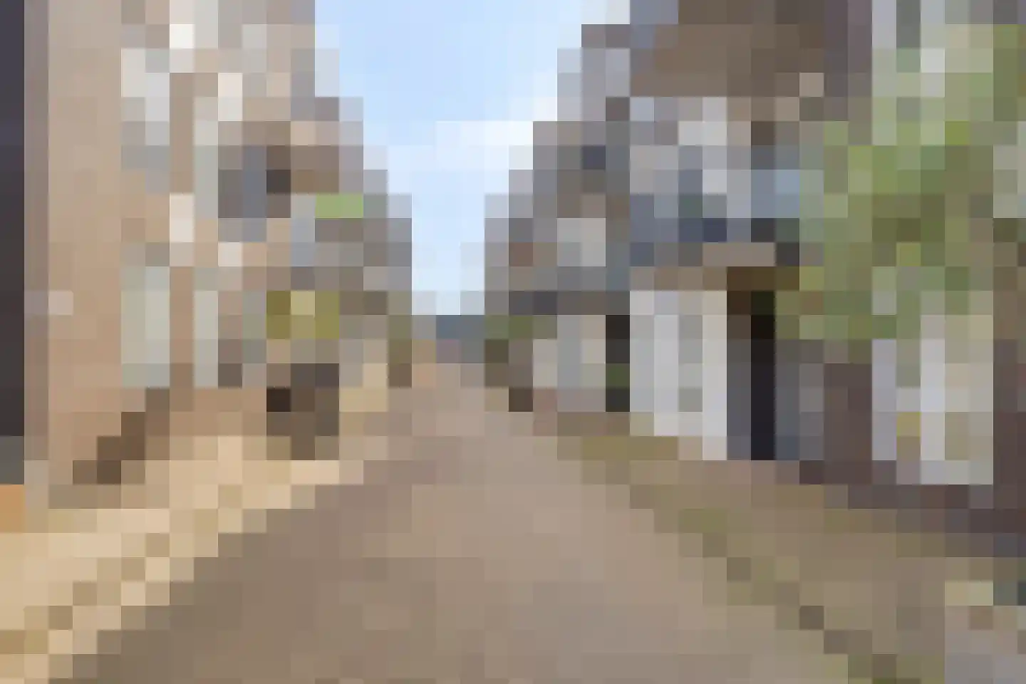 Mgr vdn Tillaartstraat 40 Veghel thumbnail 5