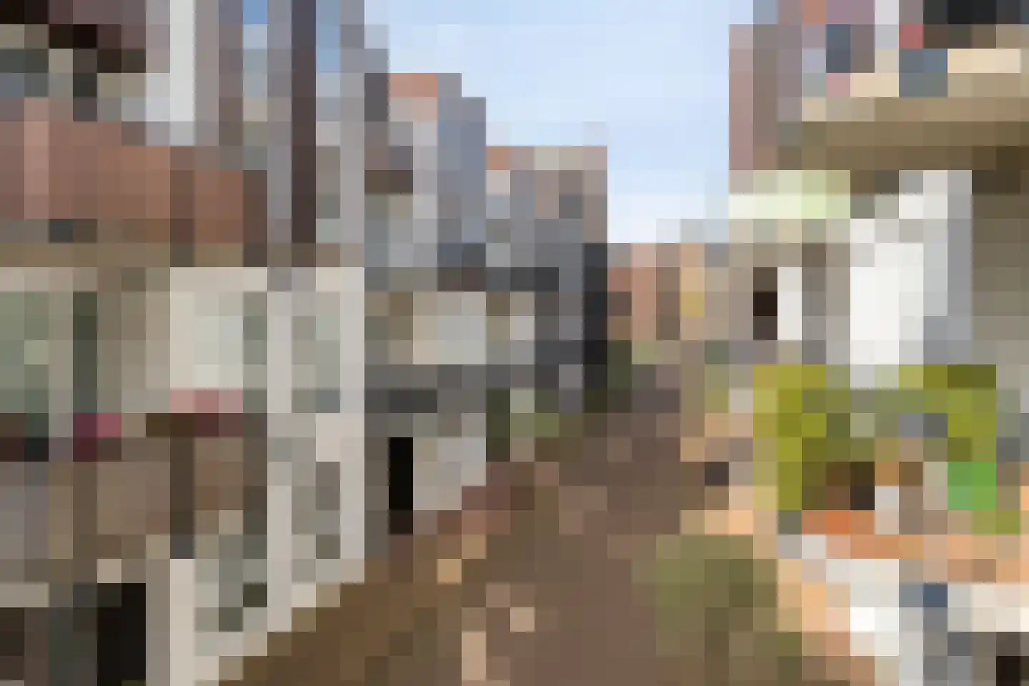 Mgr vdn Tillaartstraat 40 Veghel thumbnail 8