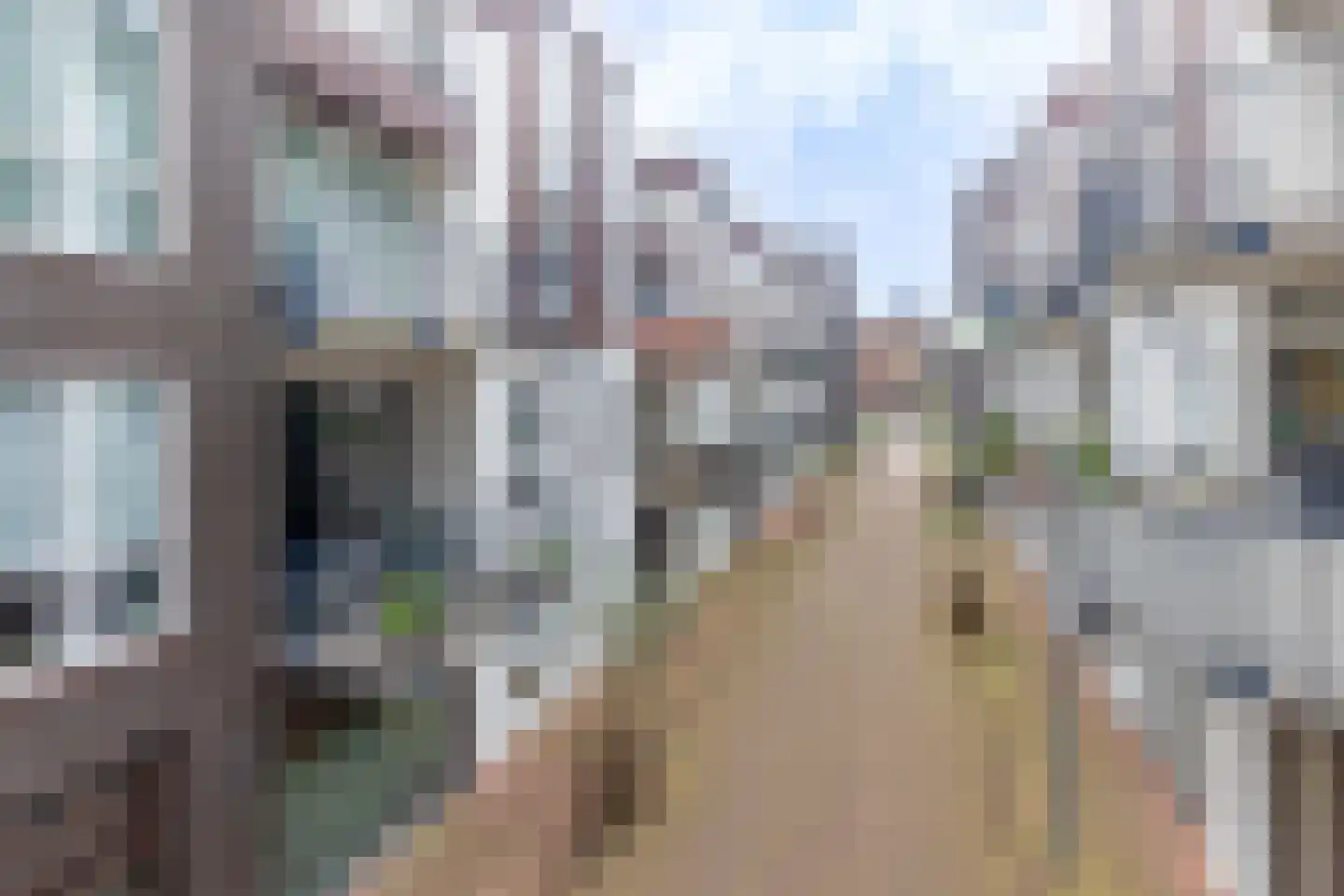 Mgr vdn Tillaartstraat 56 Veghel thumbnail 23