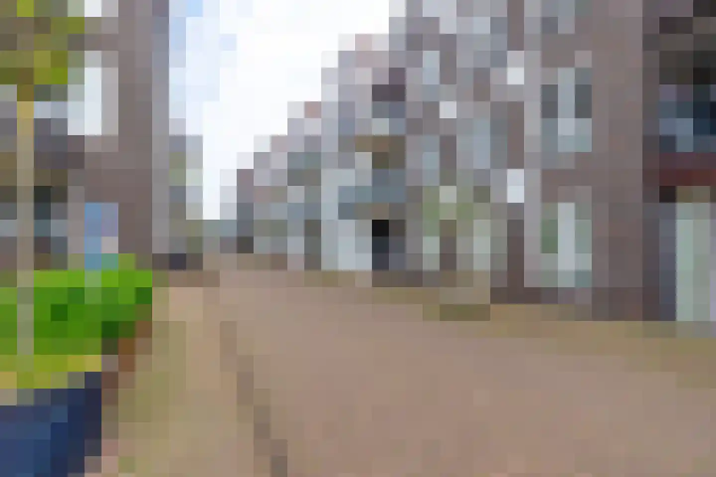 Mgr vdn Tillaartstraat 56 Veghel thumbnail 25