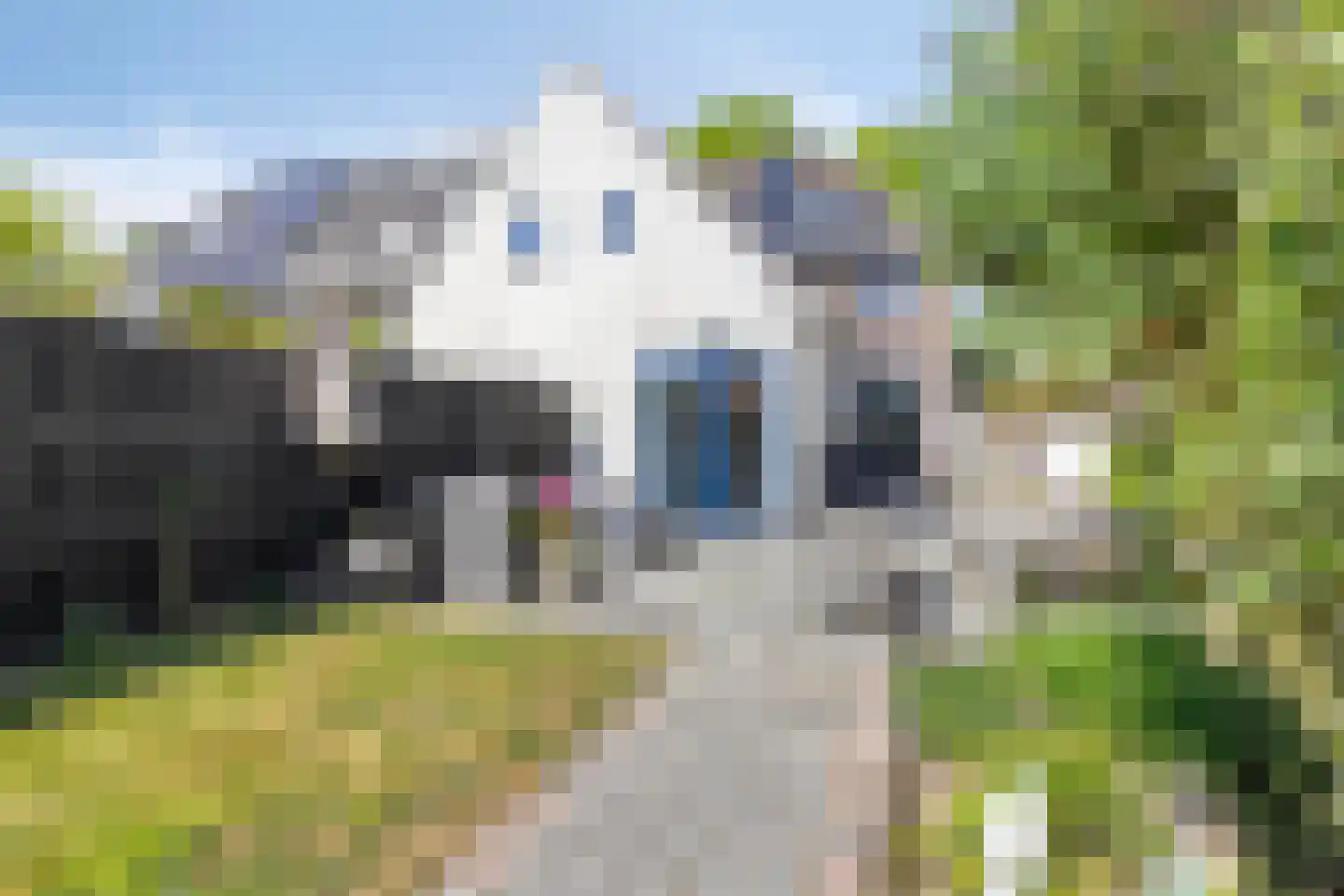 Mgr. Verhoevenlaan 33 Oisterwijk thumbnail 29