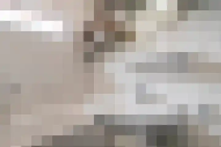 Mgr. Verrietstraat 7 Venray thumbnail 24