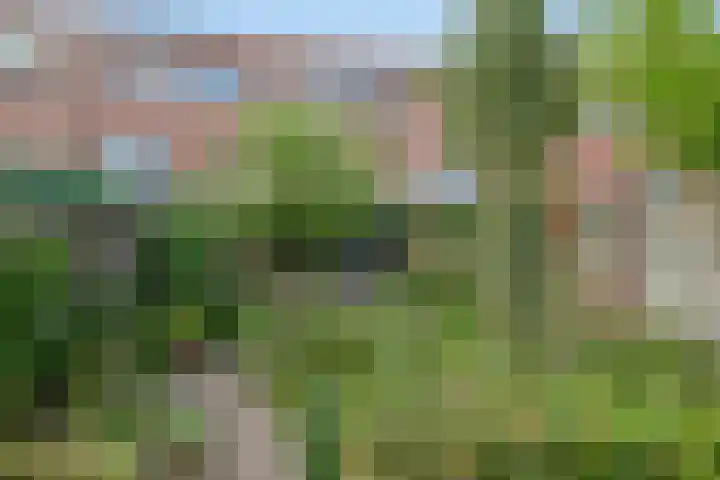 Mgr. Verrietstraat 7 Venray thumbnail 30