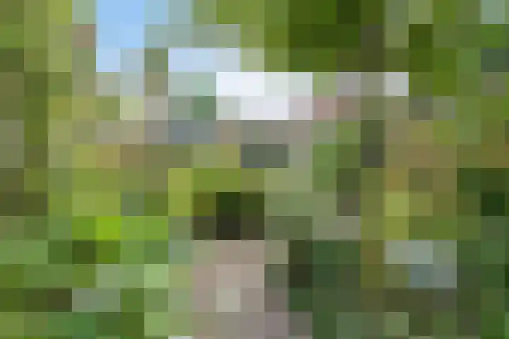Mgr. Verrietstraat 7 Venray thumbnail 33