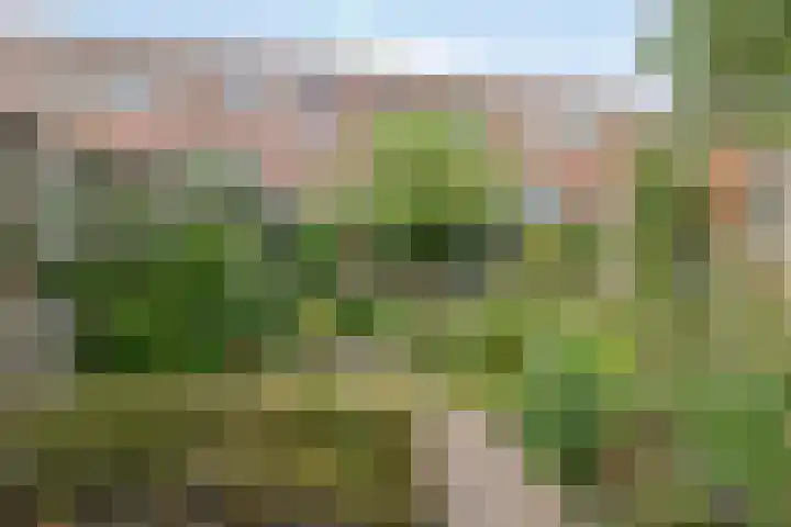 Mgr. Verrietstraat 7 Venray thumbnail 35