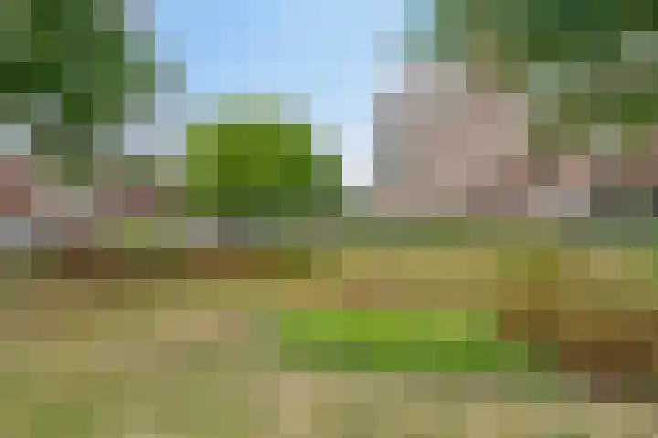 Mgr. Verrietstraat 7 Venray thumbnail 37