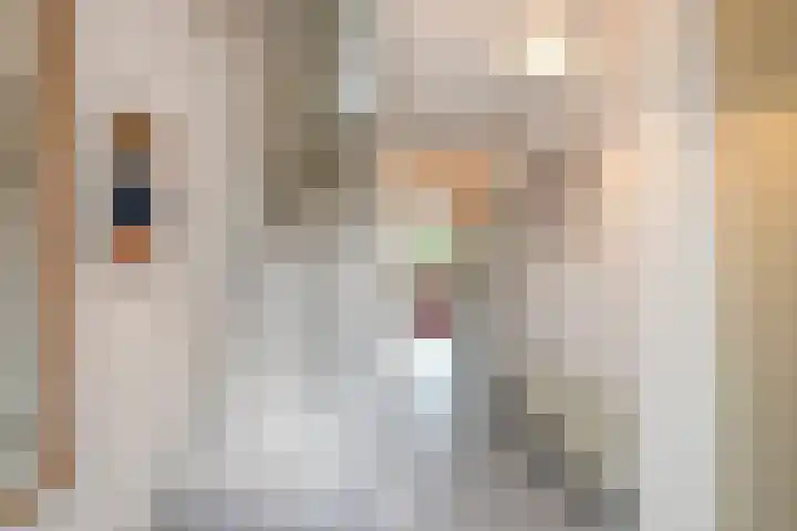 Mgr. Verrietstraat 7 Venray thumbnail 7