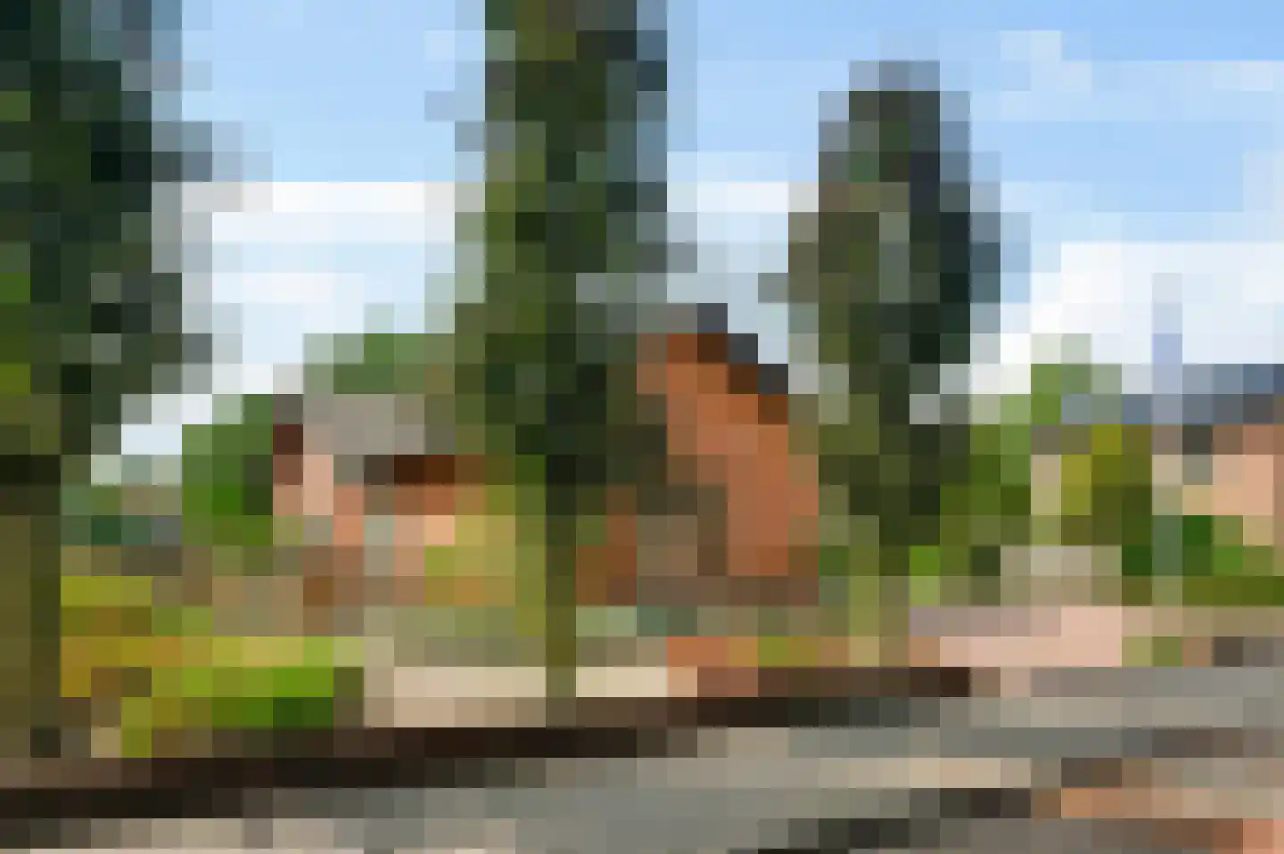 Mgr Verstraelenstraat 12 Sevenum thumbnail 15