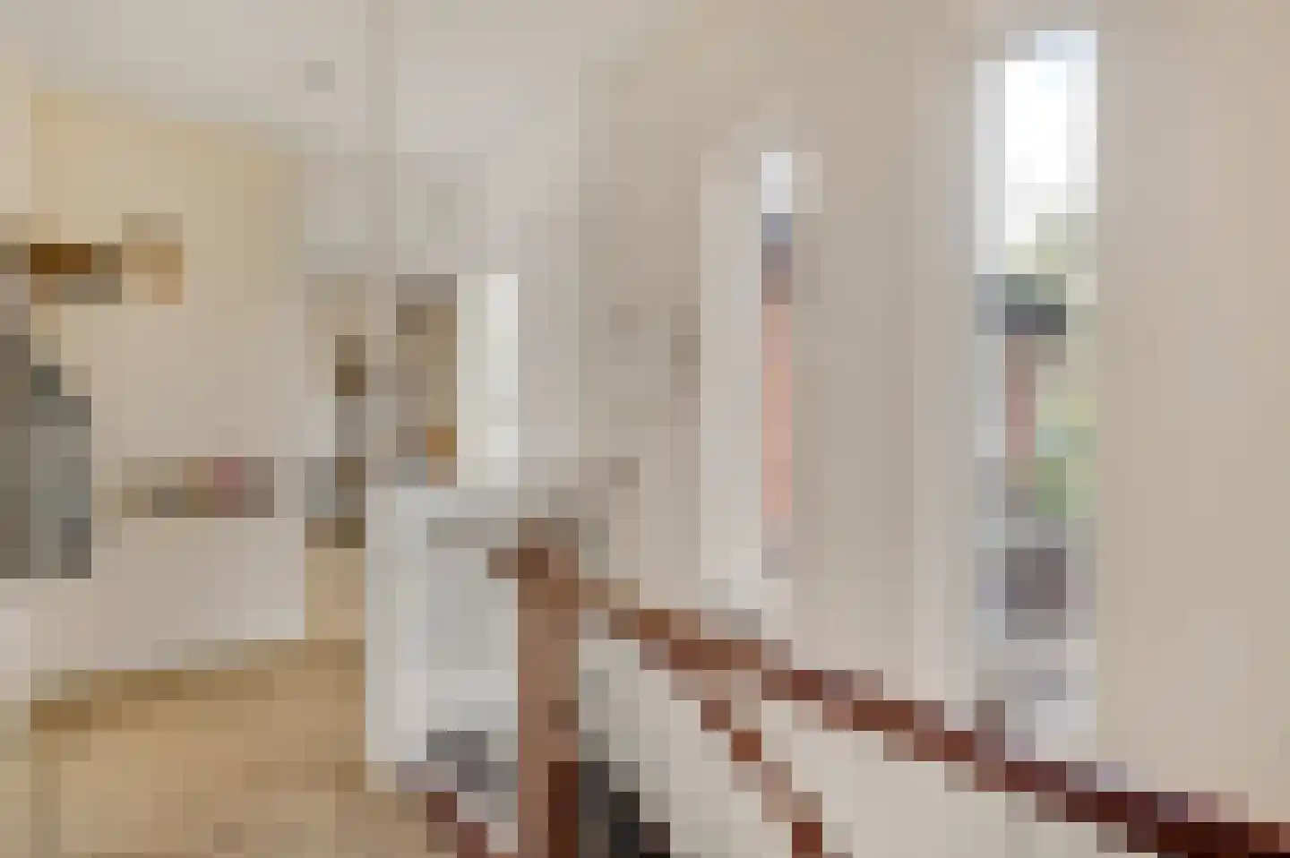 Mgr Verstraelenstraat 12 Sevenum thumbnail 21